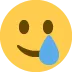 :smiling_face_with_tear: